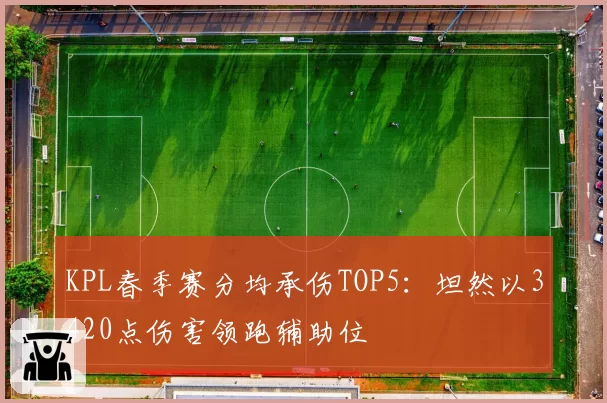 KPL春季赛分均承伤TOP5：坦然以3420点伤害领跑辅助位