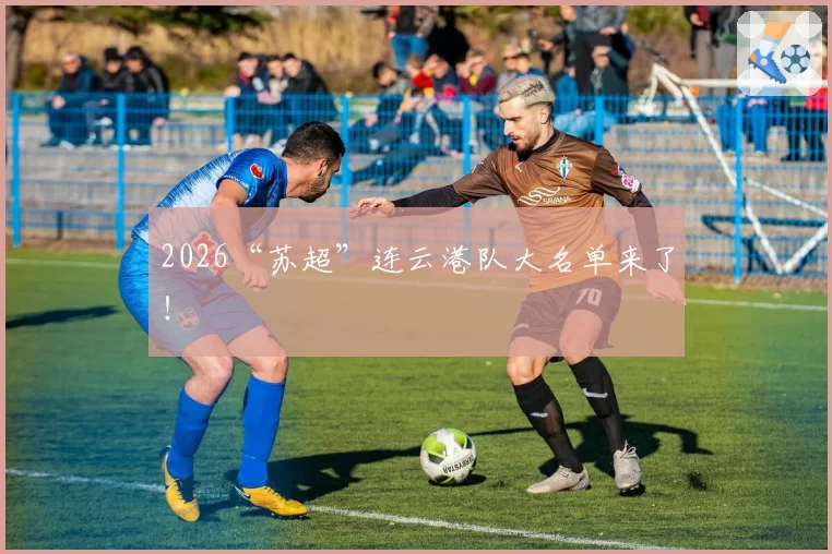 2026“苏超”连云港队大名单来了!