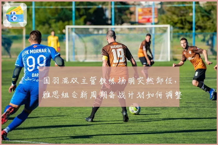 国羽混双主管教练杨明突然卸任，雅思组合新周期备战计划如何调整？