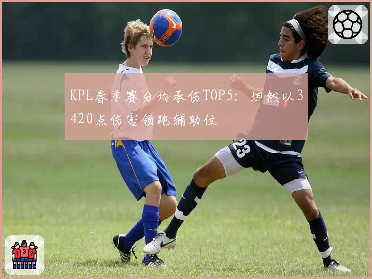 KPL春季赛分均承伤TOP5：坦然以3420点伤害领跑辅助位