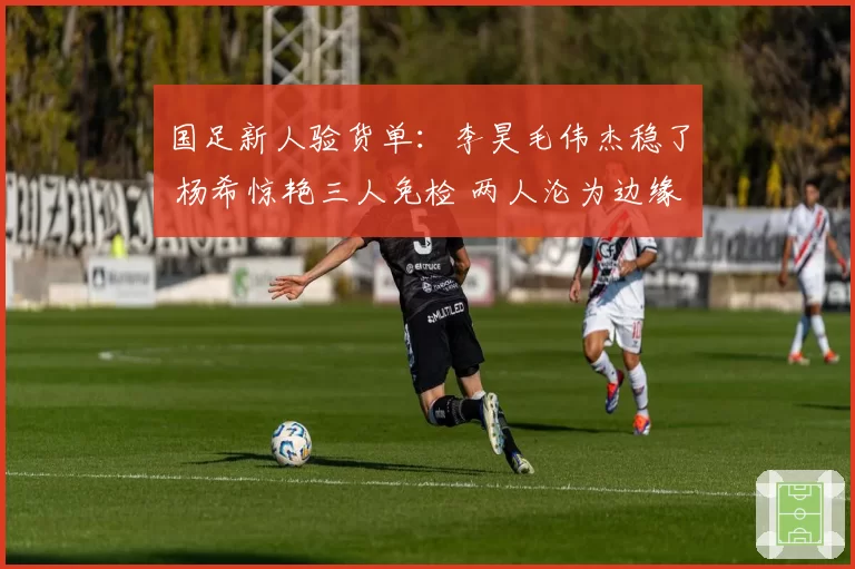 国足新人验货单：李昊毛伟杰稳了 杨希惊艳三人免检 两人沦为边缘