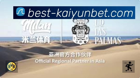 开云中国服务价值